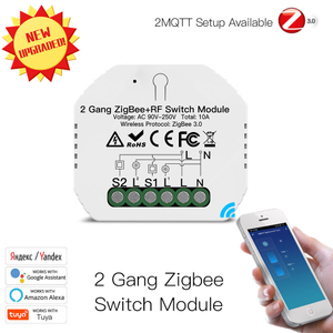 2 Gang Hidden ZIGBEE 3.0 Switch Modul Mini Hidden Type