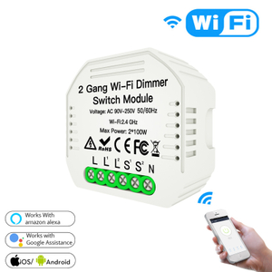 2-Gang-Wifi-Dimmerschaltermodul Mini versteckter Typ