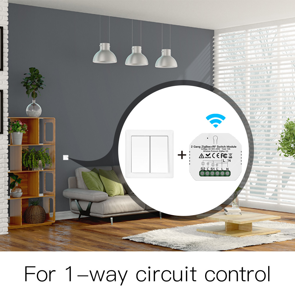 2 Gang Hidden ZIGBEE 3.0 Switch Modul Mini Hidden Type